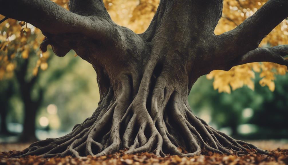 embracing linguistic diversity together